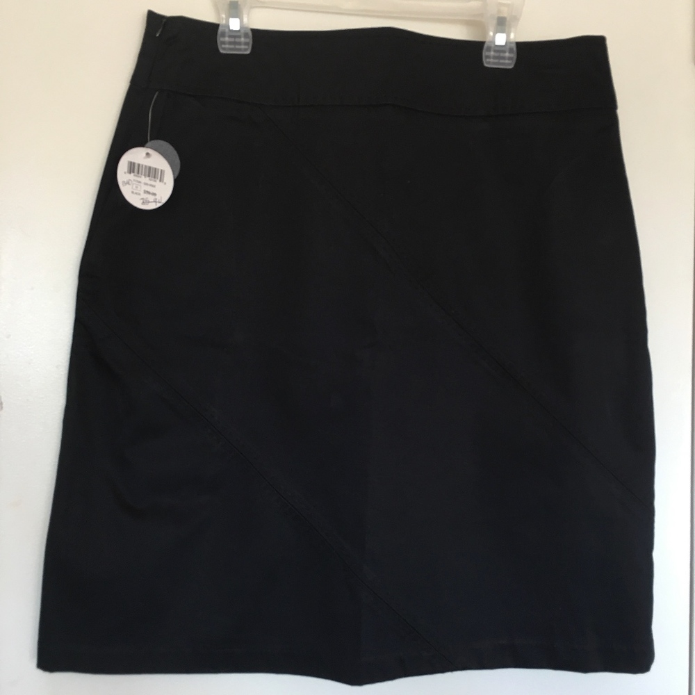 NWT- Size 12 Claudia Ev Black A-Line Skirt